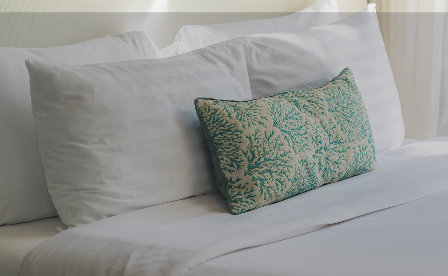 Down Pillows East Coast Bedding