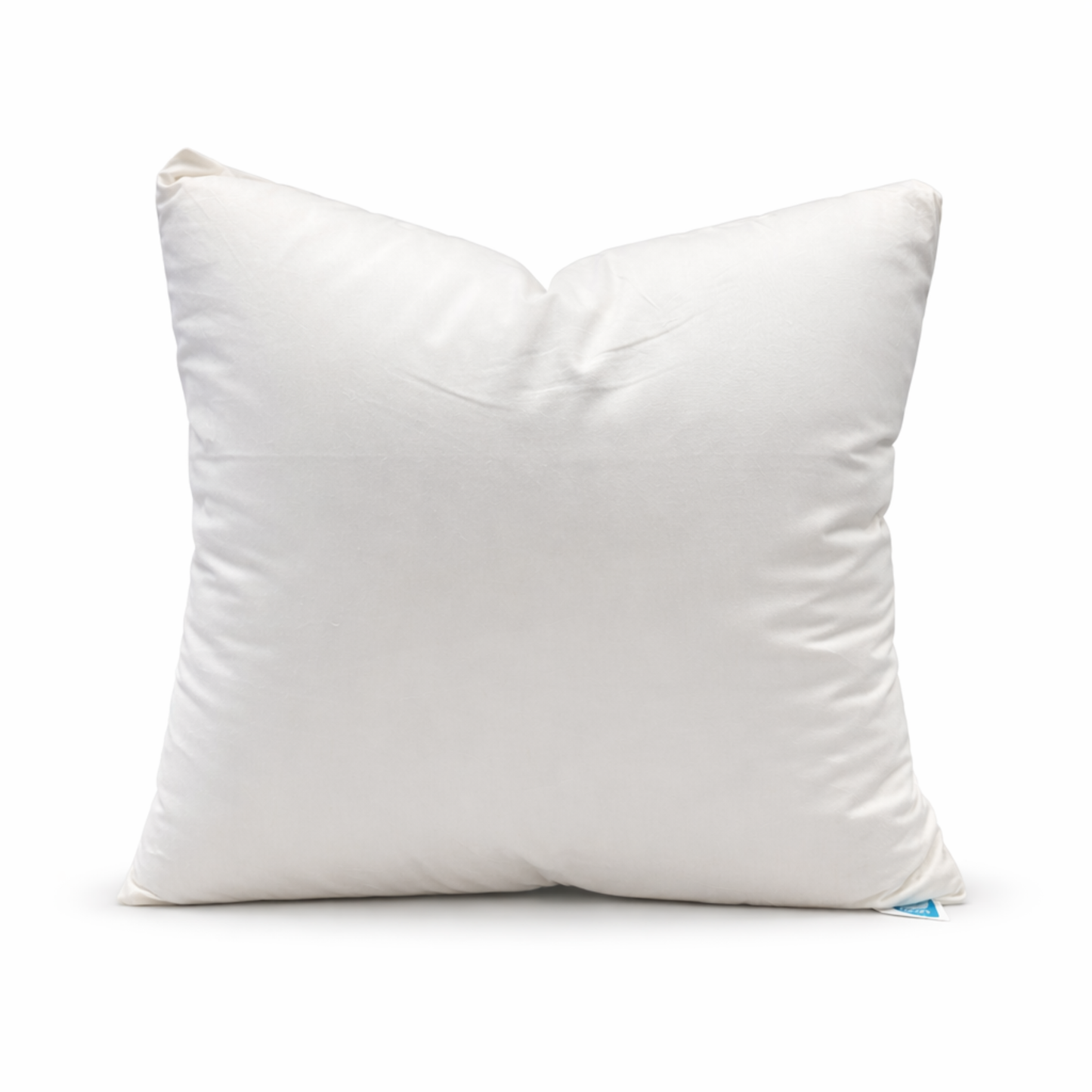 25/75 Down & Feather Throw Pillow Insert with Protective Cover