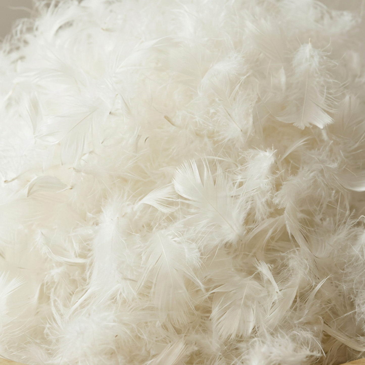 Premium Down & Feather Filling